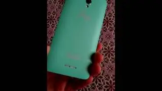 Pop star Alcatel