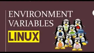 How to use Linux Environment Variables