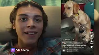 Анонсы, заставки и рекламные блоки СТС + анонс в титрах (19.11.2022)