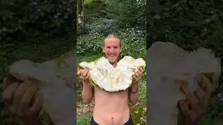 The Biggest Fruit In The World