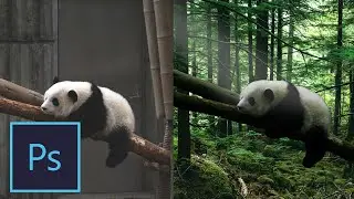 The Panda Heaven Photoshop Manipulation Tutorial|Composite