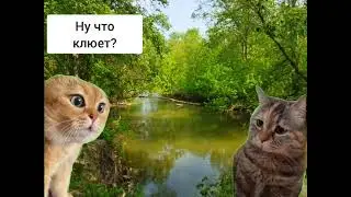 Мем два кота разговаривают 