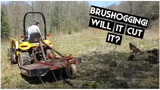 Will It Cut It? Clearing Land With A Brush Hog