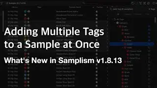 What's New in Samplism v1.8.13