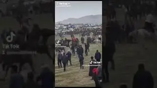 Первый!!!