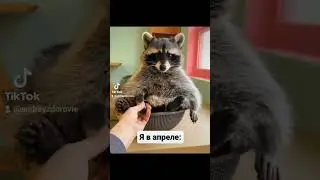 Худей легко и вкусно