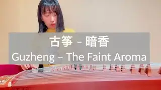 Sixue - Guzheng (Chinese zither) 古筝 - 暗香 - 《金粉世家》主题曲
