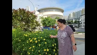 Прогулка по Рынку Тьёнг Бару в Сингапуре