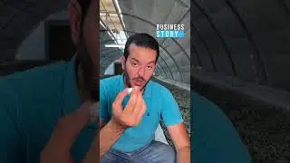 أول مشروع لإنتاج وصنع الحرير في تونس