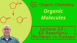 The E2 Mechanism and Hoffman Products - Organic Chemistry One (1) Lecture Series Video 35