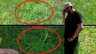 Dealing with Quackgrass and Poa & Renovation results!