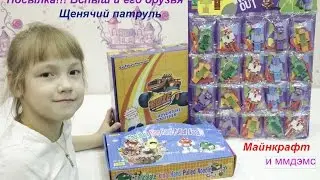 Распаковка посылок Вспыш и друзья Щенячий патруль Майнкрафт барбоскины Майнкрафт головоломка Ммдэмс