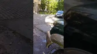 Подстава