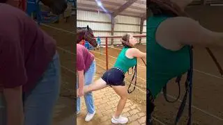 Old Vs Young Horses! 🐴 