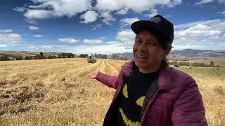 SIENDO AGRICULTOR POR UN DÍA /cosechamos cebada | Edis Vlogs