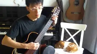 Havana - Camila Cabello - Fingerstyle Guitar - 20240416