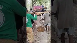 Load teak wood into medium truck 5 #woodworking #russia #america #india #korea #germany #japan