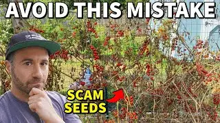 I Got SCAMMED Buying Seeds: Do Not Make This Mistake!