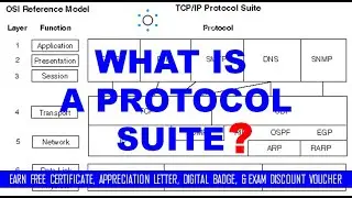 What is a Protocol Suite | TCP/IP | OSI | APPLE-TALK | NOVELL-NETWARE |