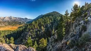 Relax and Unwind Serenity in Spring with Bird Sounds and Waterfall Stream