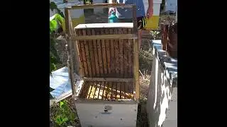 Видувати бджіл не так легко, як я думав)