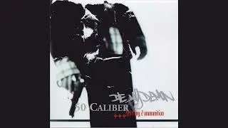 50 Caliber - Flesh And Stone