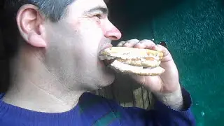 visi nivo  kale jede pjesku