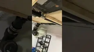 Fruit Fly Mining Room