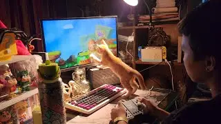 Yoshi's Crafted World with my kitten | nintendo switch
