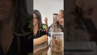 MANIA ESTRANHAA