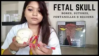 Fetal Skull Explanation for Practical Exam || Nursing Lecture || OBG Lecture