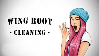 Wing Root Cleaning - Non Destructive & Odourless Method