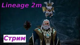 Lineage 2m Стрим Каты Прокачка Ответы