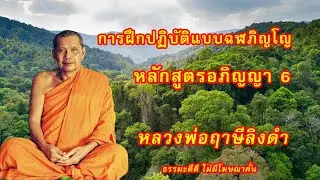 การฝึกปฏิบัติแบบฉฬภิญโญ หลักสูตรอภิญญา 6 | หลวงพ่อฤาษีลิงดํา