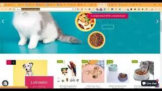 Class-01(Batch-17) GA4 Ecommerce Tracking - Google Ads Conversion Tracking (Browser + Server)