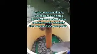 Making DIY Pressurized Pond Water Filter