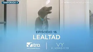 El Vidrio y Yo: Lealtad