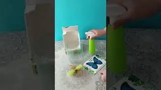 из чего состоит бабочкарий