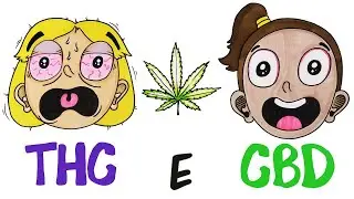 THC e CBD: COSA SONO?