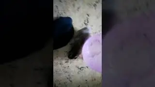наше первое видео