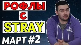 Нарезка лучших моментов со Stray #2 / март 2018
