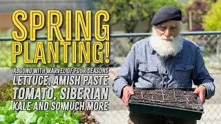 Abound with Marvel of Four Seasons Lettuce, Amish Paste Tomato, Siberian Kale and So Much More
