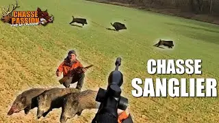CHASSE DU SANGLIER EN BATTUE - Triplé de sangliers au poste - Une saison de folie !