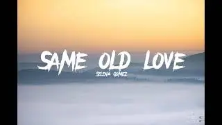 Selena Gomez-Same Old Love (lyrics)