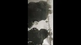 Fotoğraflarla 3. Alman İmparatorluğu 29