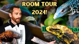 REPTILE ROOM TOUR & DIY ENCLOSURES 2024
