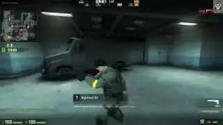 Первый стрим: Приключение раков в CS Global Offensive (запись)