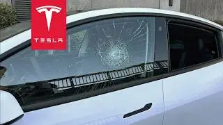INSANE TESLA ATTACK CAUGHT ON SENTRY MODE