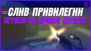 СЛИВ ПРИВИЛЕГИИ | ИГРАЕМ НА ZOMBIE СЕРВЕРЕ - CS 1.6