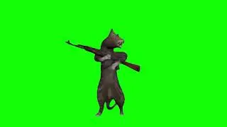 Shooting Cat  Memes | Green Screen HD